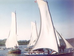 Um Maragojipanop Perdido no Cinemark!